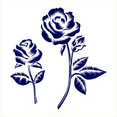 Wall Mural - hand drawn engraving roses on grey background. vector illustration