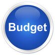 Budget premium blue round button