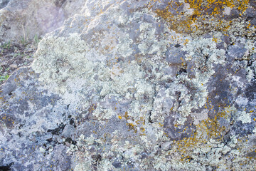 Wall Mural - a beautiful stone,a rock with a grey, white, green with moss,