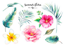 Hand Painted Summer Flora Set. Watercolor Floral Illustration Of Palm Tree Branches, Peony, Frangipani Flower And Banana Leaves. Plants Isolated On White Background