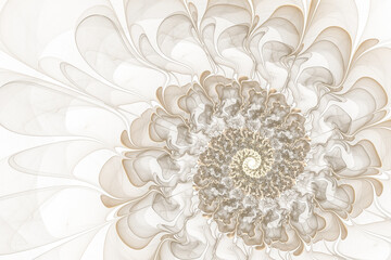 beautiful bright white background with fractal shell or a flower