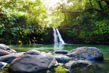 Tropical Waterfall Lower Waikamoi Falls And A Small Crystal Clear Pond, Inside Of A Dense Tropical Rainforest, Off The Road To Hana Highway, Maui, Hawaii