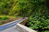 Fototapeta Pomosty - Famous Road to Hana fraught with narrow one-lane bridges, hairpin turns and incredible island views, Maui, Hawaii