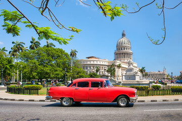 Sticker - Classic american car next to the Capitol building in Old Havana