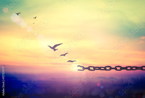 Fotografía World environment day concept: Silhouette of bird flying and broken chains at au