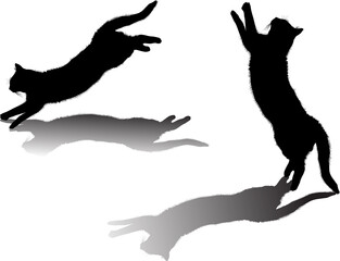 two jumping black cats with shadows