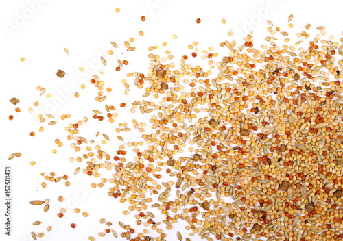 Cuadros en Lienzo Mixed bird seed isolated on white