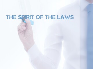 Canvas Print - The Spirit of the Laws