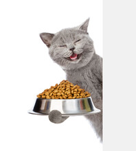 Happy Cat Holding Bowl Of Dry Cat Food And Peeking From Behind Empty Board. Isolated On White Background