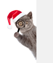 Christmas Cat In Red Hat Looks Thru A Magnifying Lens. Isolated On White Background