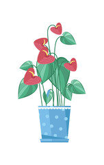 Wall Mural - Cute spring colorful flower in pot isolated icon. Plants indoor room, houseplant, floral interior decoration design element vector illustration.