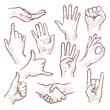 Line drawing doodle hands showing common signs vector collection
