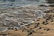 Waves washing over small rocks and pebbles on a beach