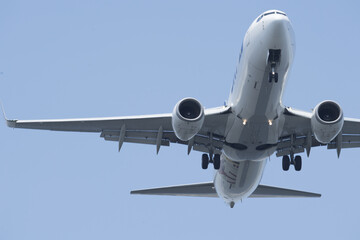 Canvas Print - Bottom of the plane