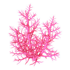 Wall Mural - 3D Rendering Pink Coral on White