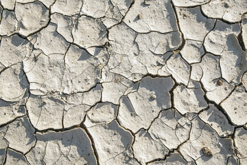 Wall Mural - Parched ground Deadvlei Sossusvlei Namib Desert Naukluft National Park Namibia Africa