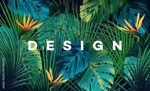 Fotomural Bright tropical background with jungle plants