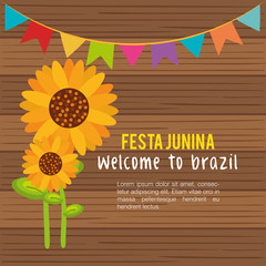 Poster - Festa junina infographic with sunflowers and banner over wood background. Vector illustration.