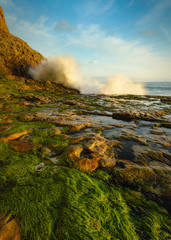 Wall Mural - Davenport Beach Sunset California