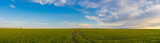 Fototapeta Do pokoju - Tire tracks leaved on a springtime field in sunset light