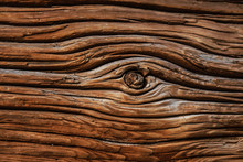 Texture Of Bark Wood Use As Natural Background