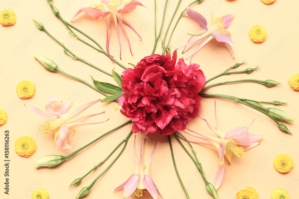 Beautiful flower composition on color background