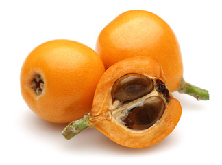 Sticker - Loquats