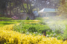 Beautiful Landscape With Automatic Sprinkler Spraying Watering The Lawn In The Home Garden With A Rainbow In Water Drops