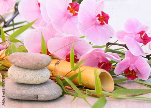 Ambiance Zen Galets Bambou Et Orchidee Rose Buy This Stock Photo And Explore Similar Images At Adobe Stock Adobe Stock Ambiance Zen Galets Bambou Et Orchidee Rose Buy This Stock Photo And Explore Similar Images At Adobe Stock Adobe Stock