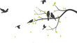 bird with tree silhouette background 