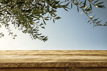 Empty Rustic Table In Front Of Olive Tree Background