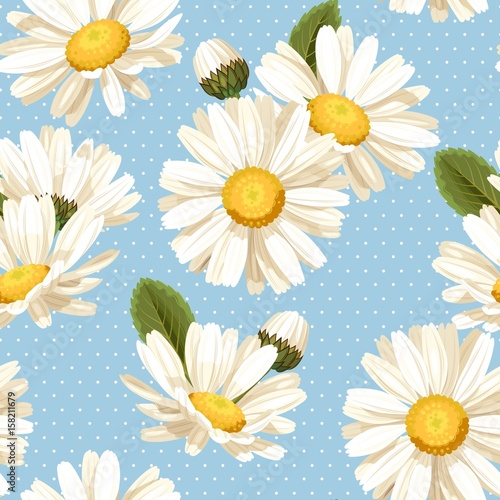 camomile-and-polka-dot-seamless-background