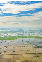 Rice Plantation Aerial View, Guyas, Ecuador
