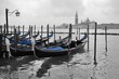 © eqroy - Black and white and blue shot of gondola boats on the Grand Canal in Venice, Italy