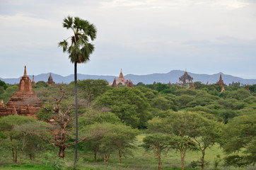 BAGAN TEMPLE MYANMAR (Birmanie)