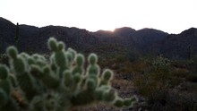 The Sunset In Arizona. Sunset In The Desert. Cactus And Mountains Are Part Of The Beautiful Landscape Forming This Magnificent Sunset At The White Tank Mountain Regional Park In Arizona.