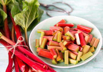 Wall Mural - pieces of rhubarb on turquoise wooden surface