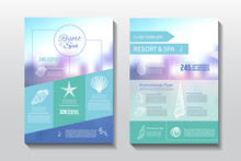 Resort And Spa Flyer. Spa Wellness Medical Template. Vector Brochure Poster Withe Seashells. Vector Illustration Design.