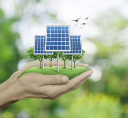 solar cell in man hands over blur green tree with birds, ecological concept