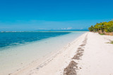 Fototapeta Morze - Sand bar of virgin island in Bohol