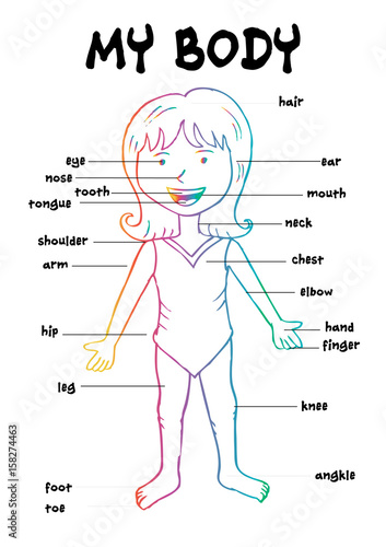 Body Hair Chart