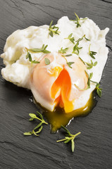 Wall Mural - open poached egg with thyme on slate