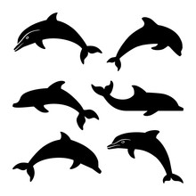 Dolphin Silhouette Clipart Free Stock Photo - Public Domain Pictures