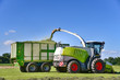 Ernte - Grassilage, Häcksler befüllt einen Ladewagen mit Gras