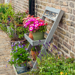 Sticker - Varied pots and plants in front of an old wall