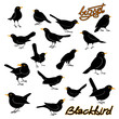 blackbird vector illustration style Flat big set
