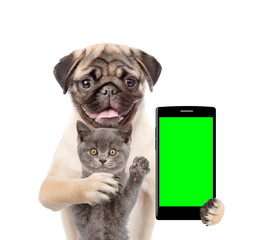 Aufkleber - Cat and dog with smartphone. Isolated on white background