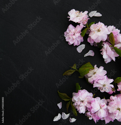 spring-sakura-blossom