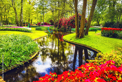 Fotomural Blooming Garden of Europe, Keukenhof park. Netherlands.