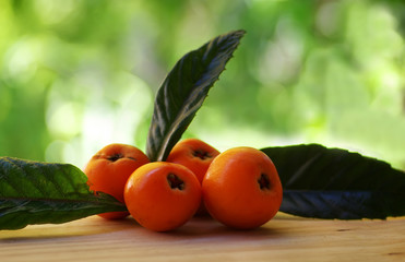 Loquat Medlar fruit and leaves